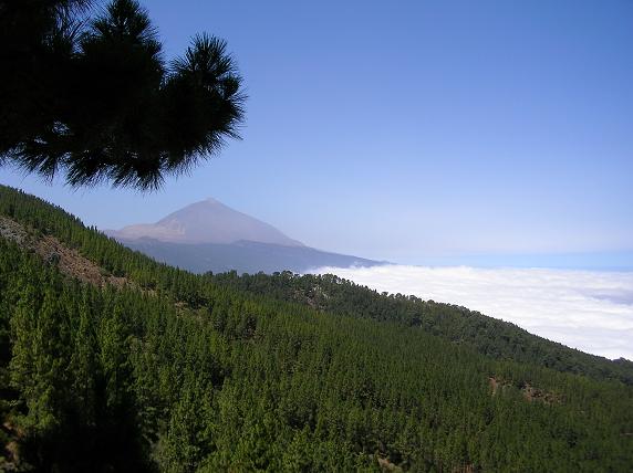 Teide